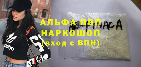 spice Ладушкин
