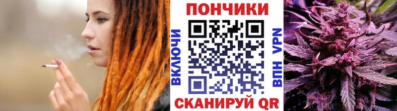 наркошоп  Ядрин  Каннабис сатива 